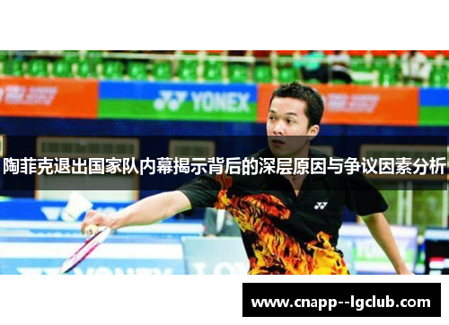 陶菲克退出国家队内幕揭示背后的深层原因与争议因素分析