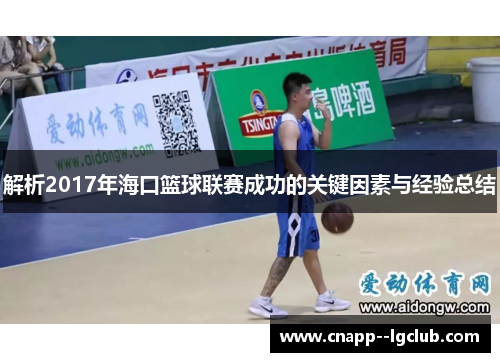 解析2017年海口篮球联赛成功的关键因素与经验总结