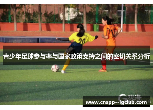 青少年足球参与率与国家政策支持之间的密切关系分析